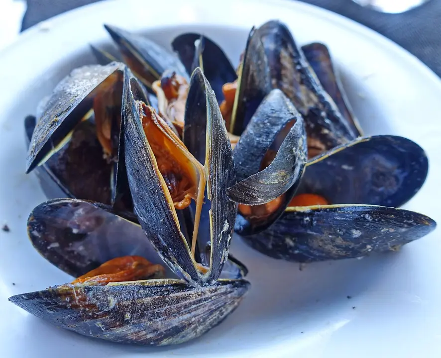 Moules Frites