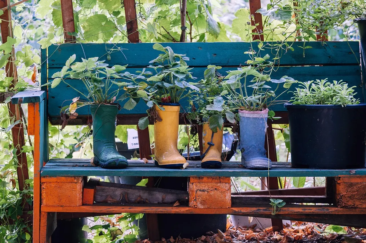 troc plantes
