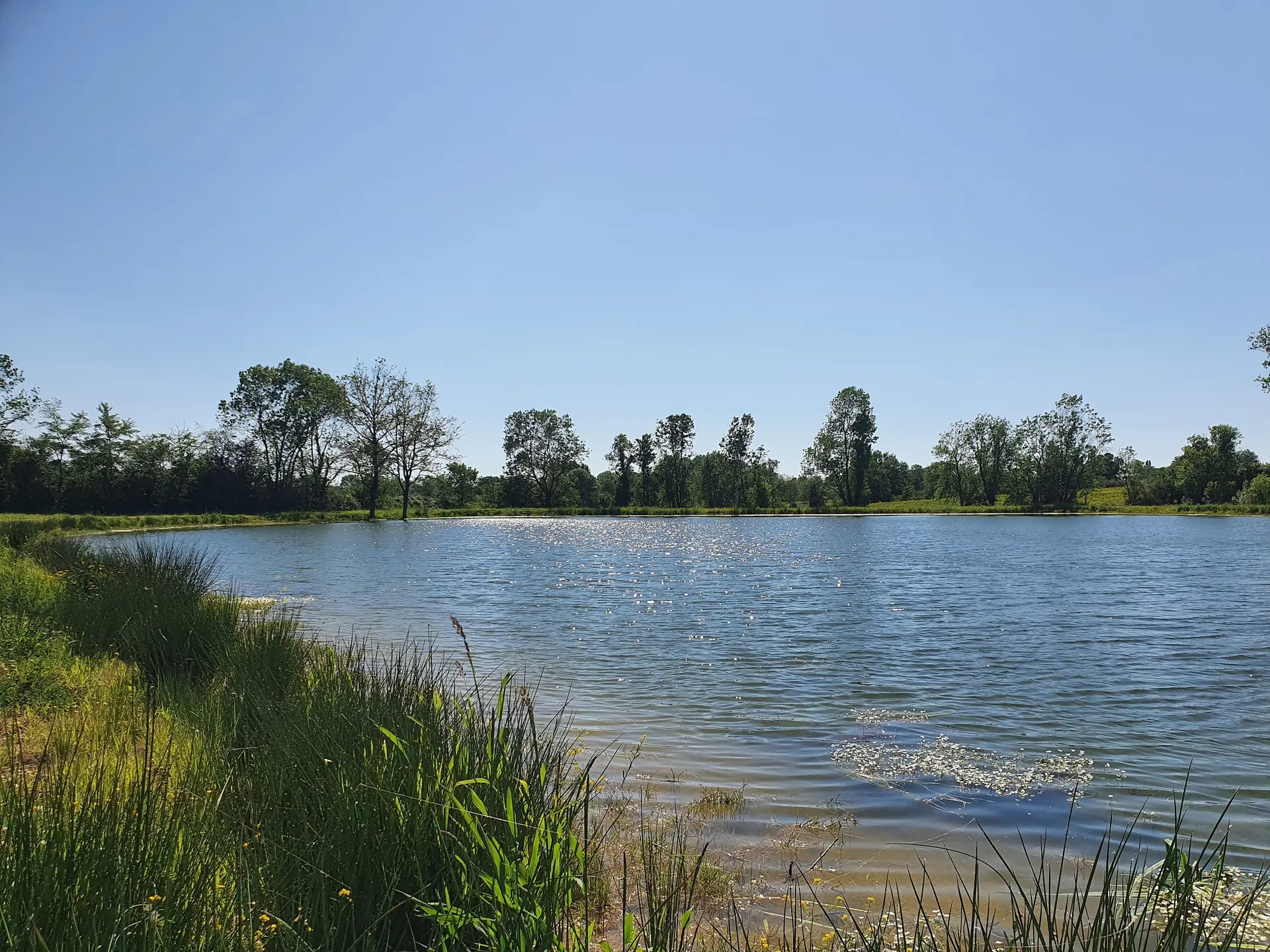 randonnée-les-etangs-foussais-payré-fontenay-vendee-85- (3)