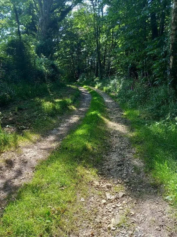 randonnée Placé