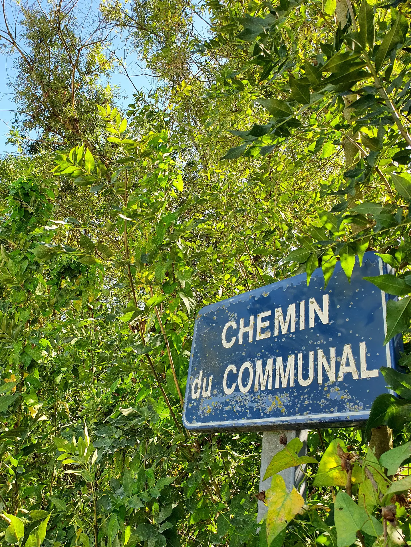 randonnée-pédestre-la-corde-mouzeuil-saint-martin-fontenay-vendee-85370-11
