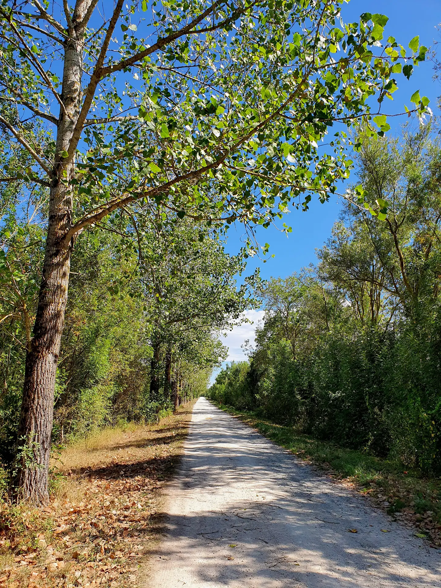 randonnée-pédestre-la-corde-mouzeuil-saint-martin-fontenay-vendee-85370-10