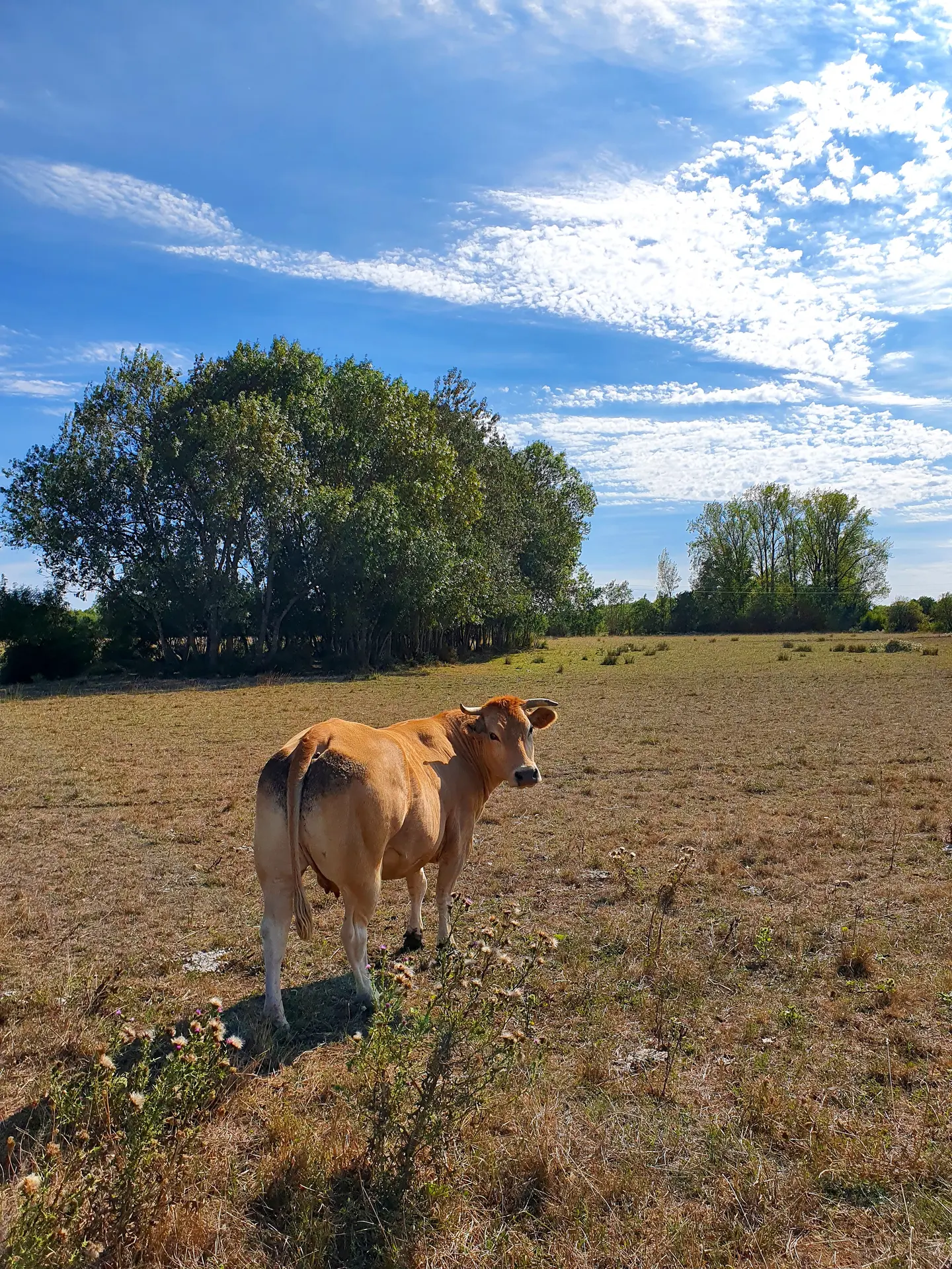 randonnée-pédestre-la-corde-mouzeuil-saint-martin-fontenay-vendee-85370-3