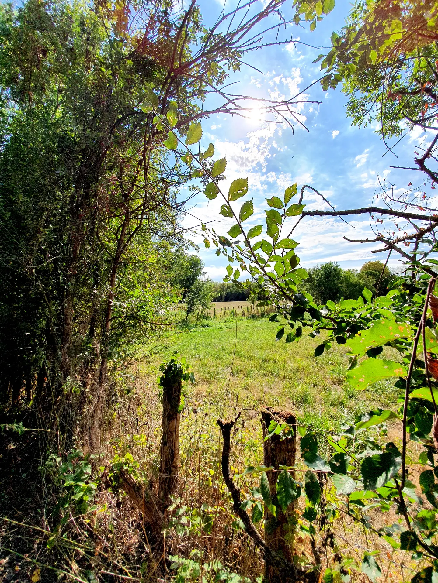 randonnée-pédestre-la-corde-mouzeuil-saint-martin-fontenay-vendee-85370-7