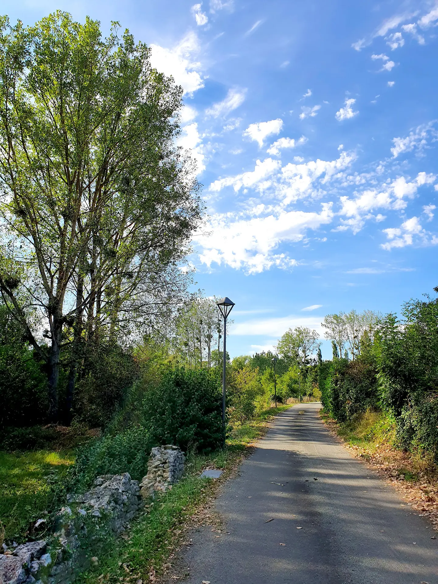 randonnée-pédestre-la-corde-mouzeuil-saint-martin-fontenay-vendee-85370-17