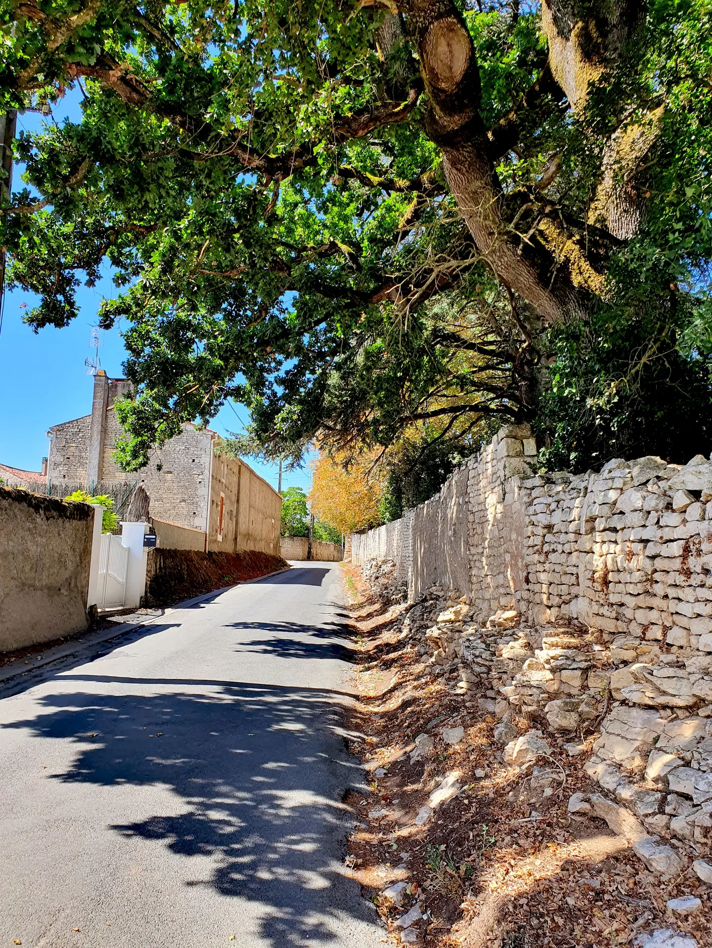 randonnée-pédestre-la-corde-mouzeuil-saint-martin-fontenay-vendee-85370-14