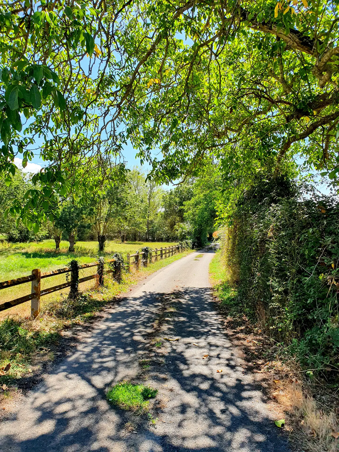 randonnée-pédestre-la-corde-mouzeuil-saint-martin-fontenay-vendee-85370-13