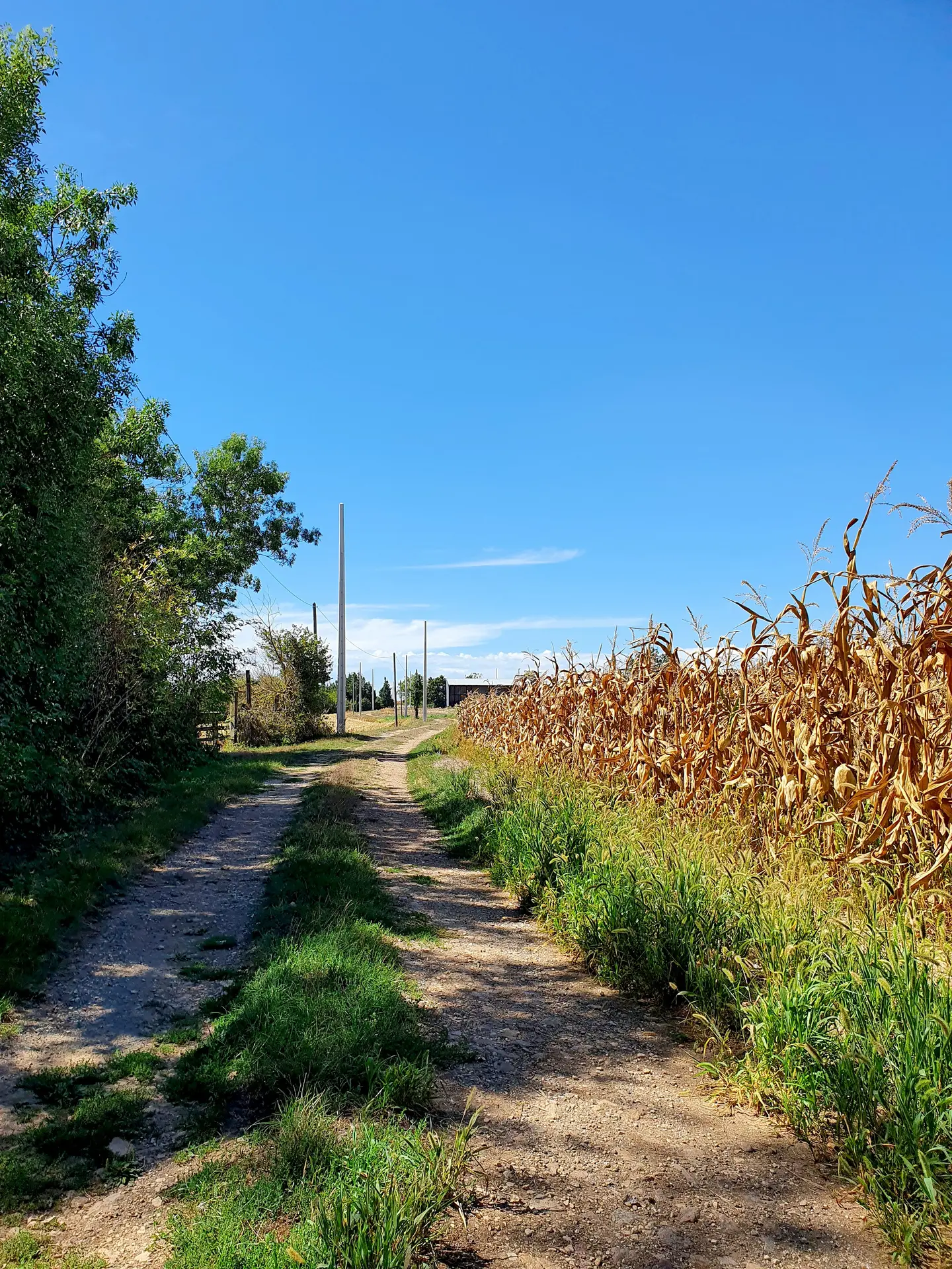 randonnée-pédestre-la-corde-mouzeuil-saint-martin-fontenay-vendee-85370-4