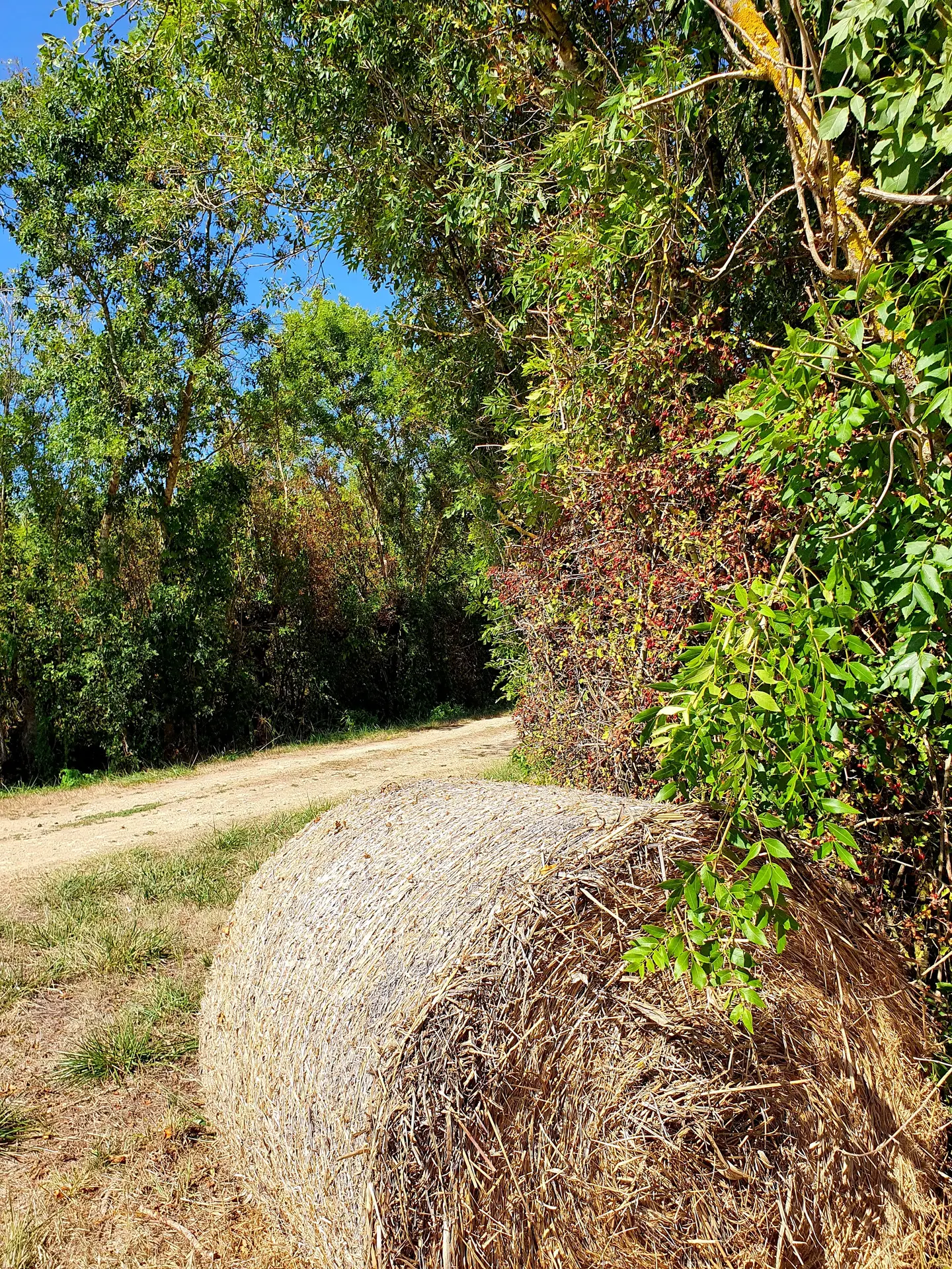 randonnée-pédestre-la-corde-mouzeuil-saint-martin-fontenay-vendee-85370-12