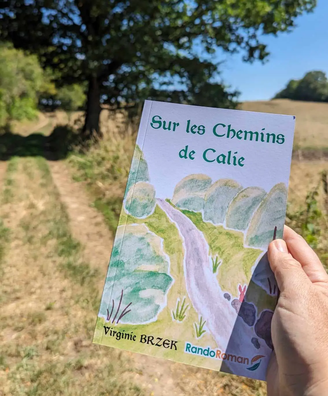 403408352_1175210079964625_7224014680266156188_n