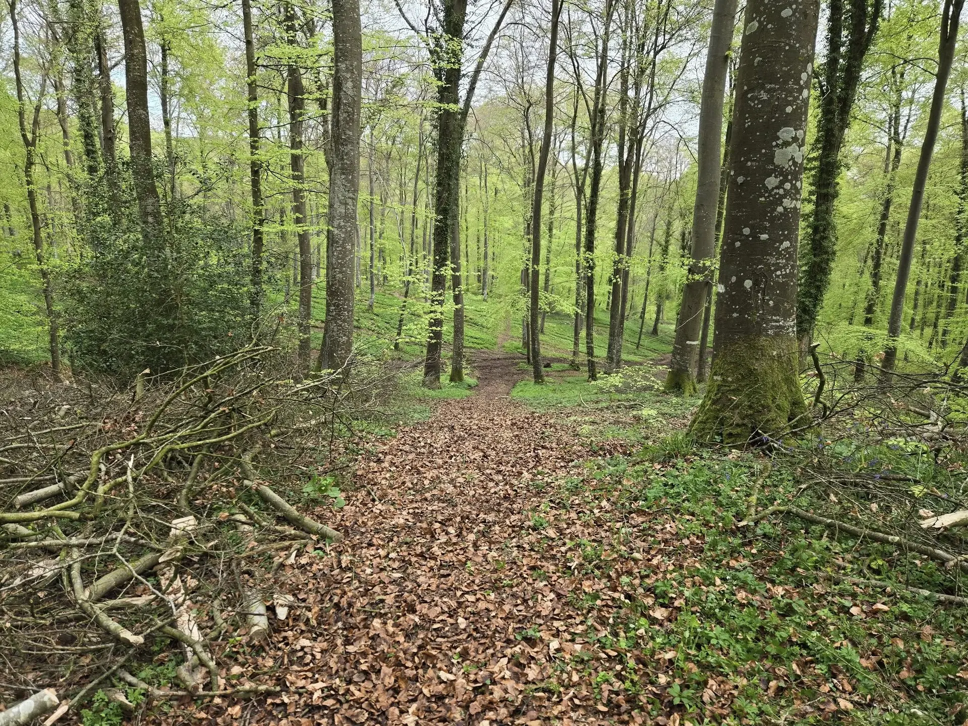 Trail du Manoir