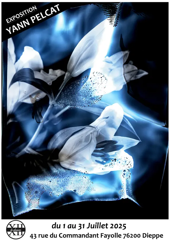 Fleurs cosmiques