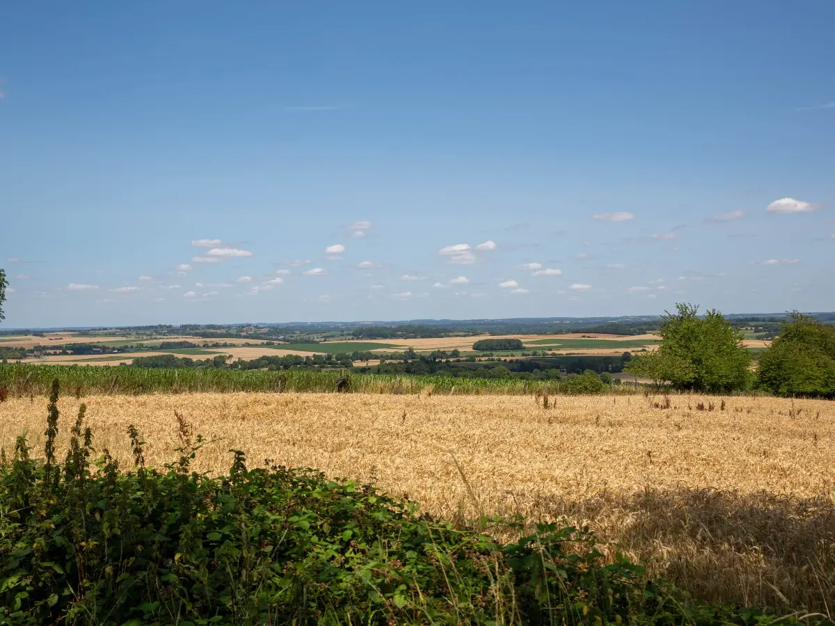 Paysage brayon