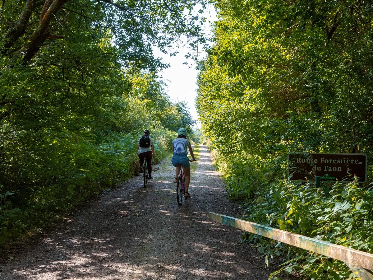 A la découverte de la forêt de Lyons à VTT