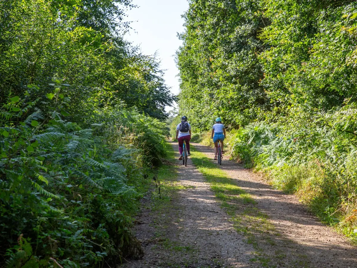 La forêt de Lyons à vélo
