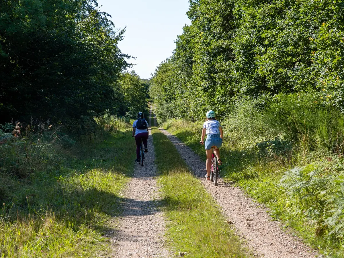 La forêt de Lyons à VTT