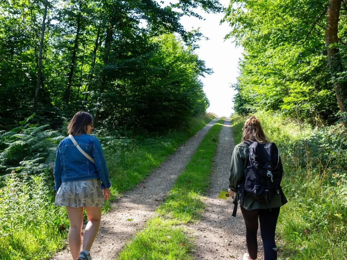 Randonnée dans la forêt de Lyons