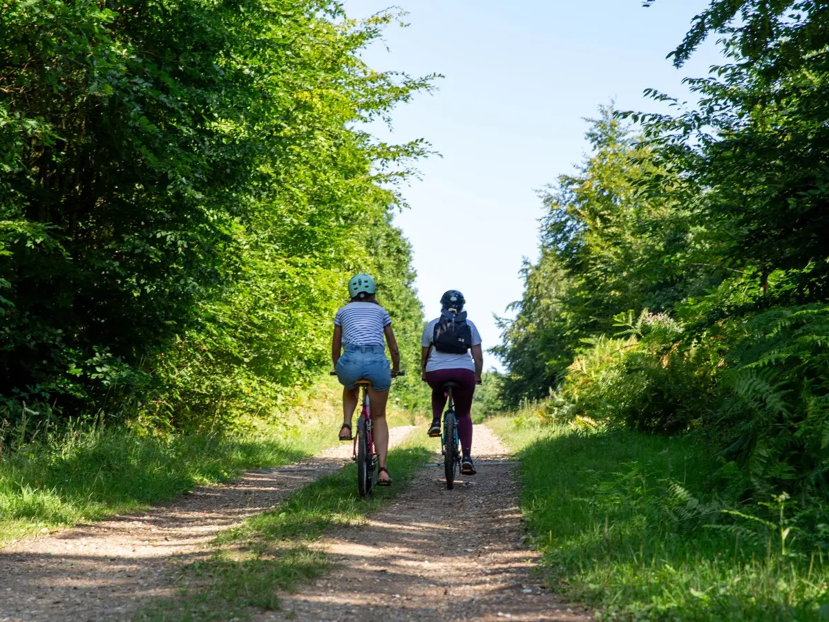 A VTT dans la forêt de Lyons