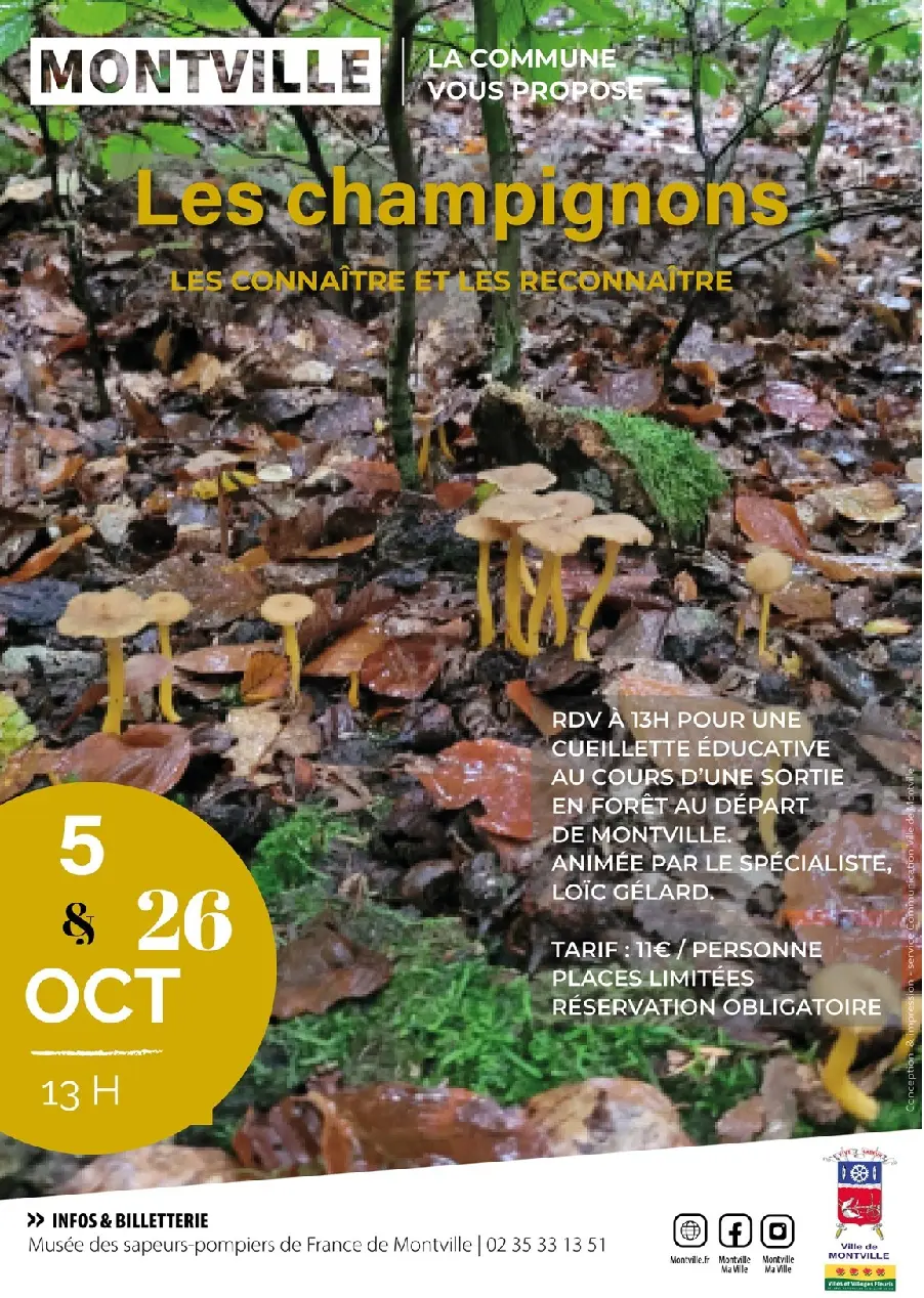 5 et 26 sortie champi Montville