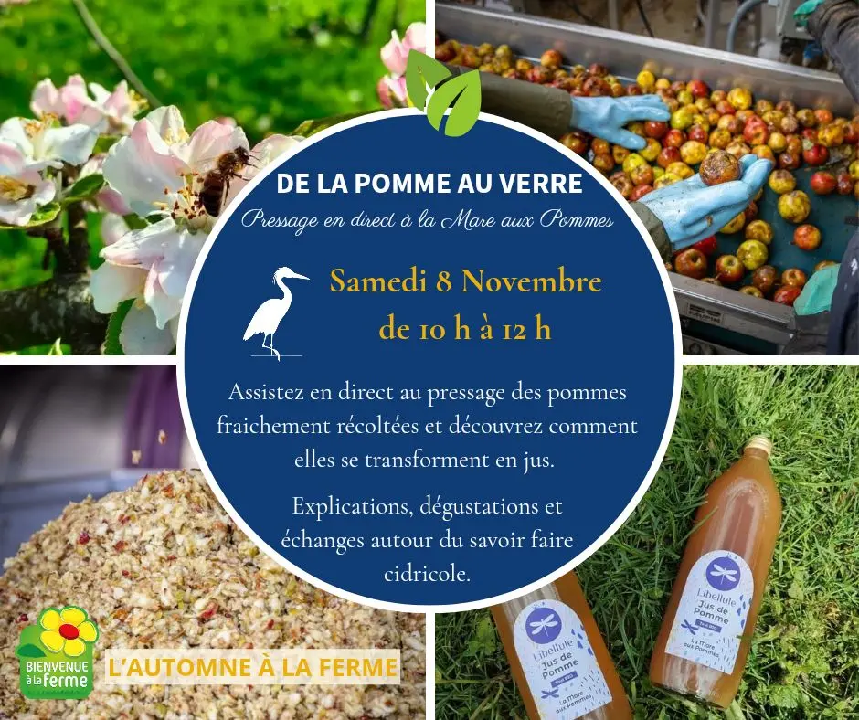 574856076_771026715914611_1243046428106852447_n