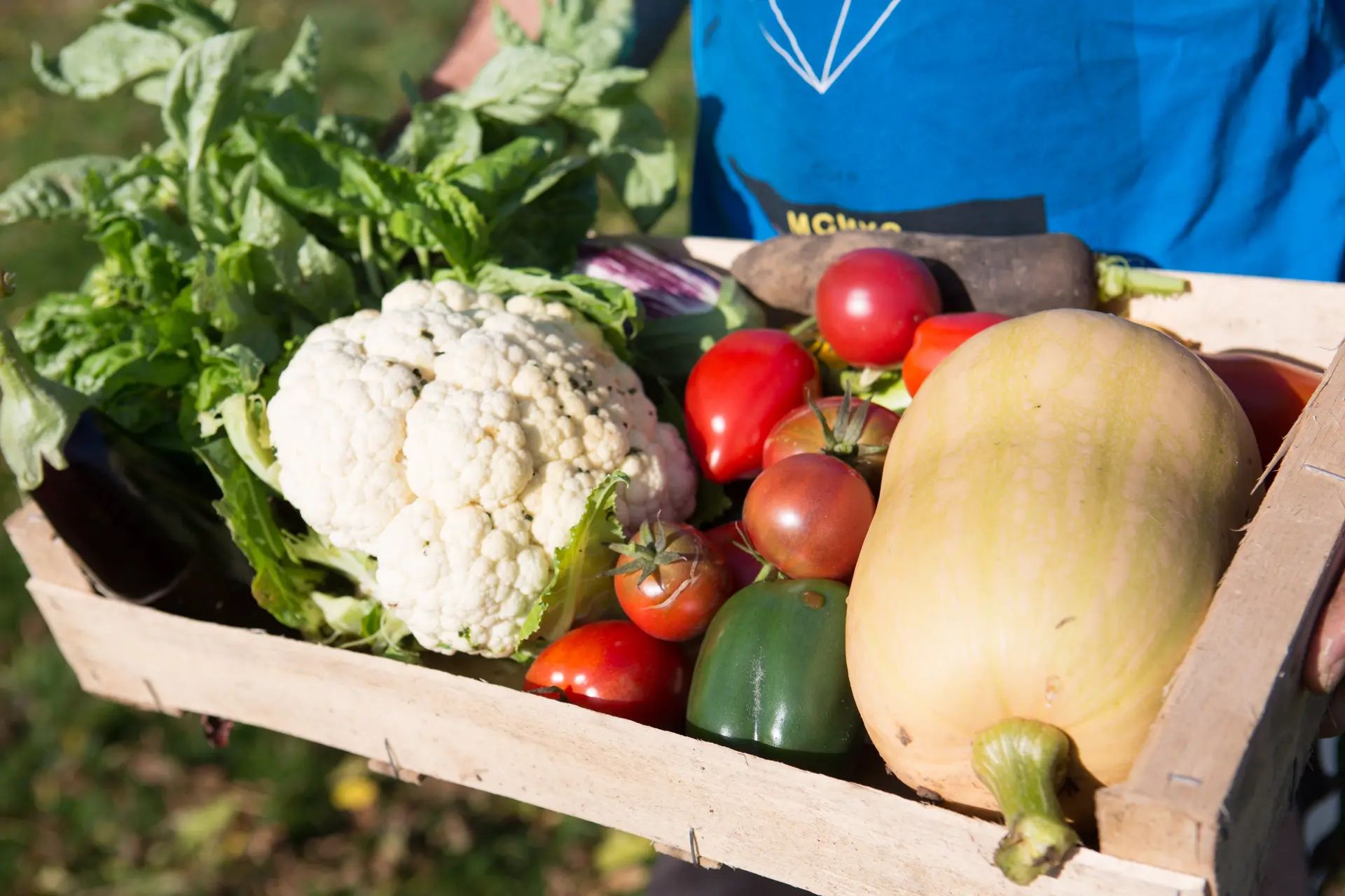 légumes de saison