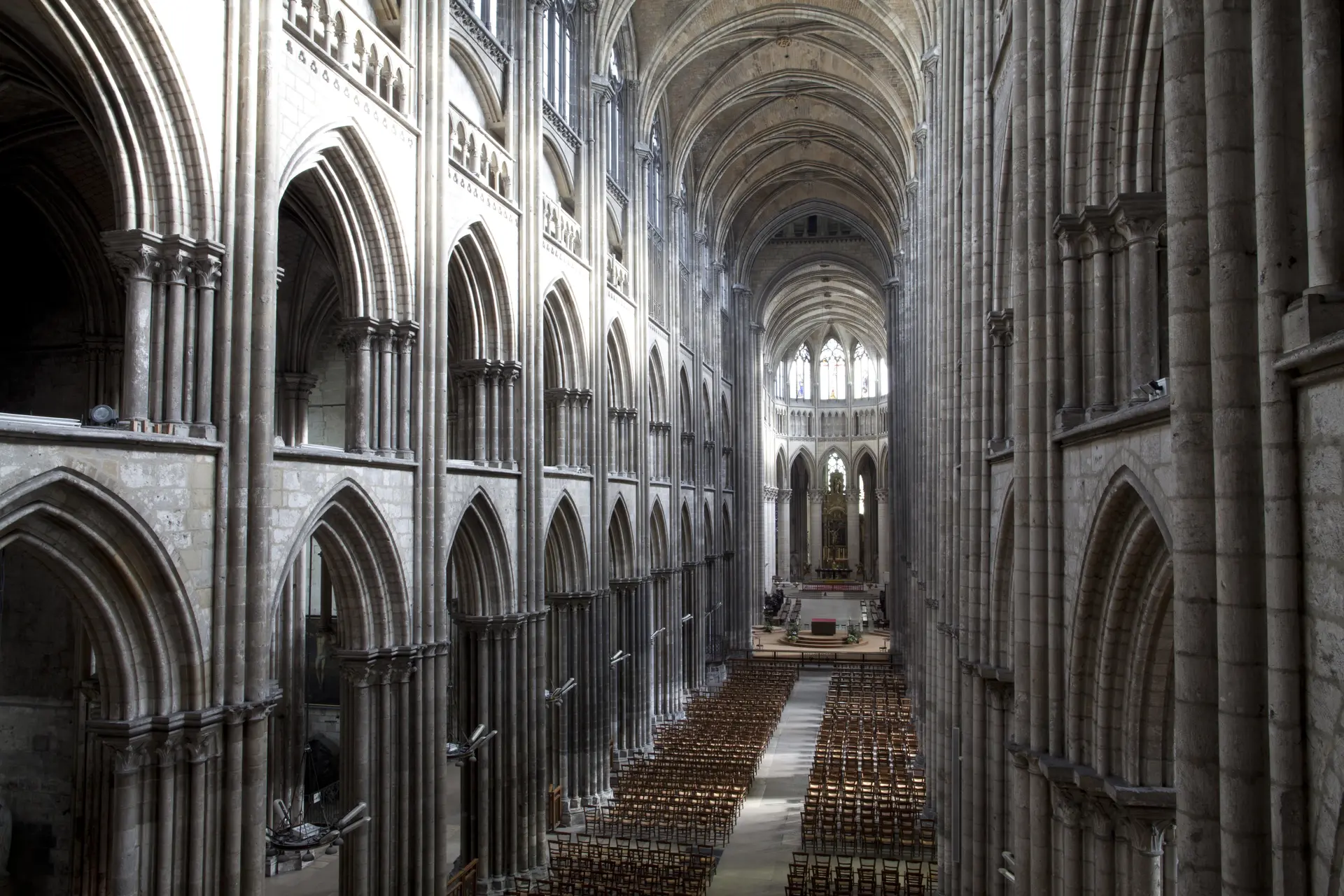 © Benoit Eliot-Octopus-2267© Benoit Eliot