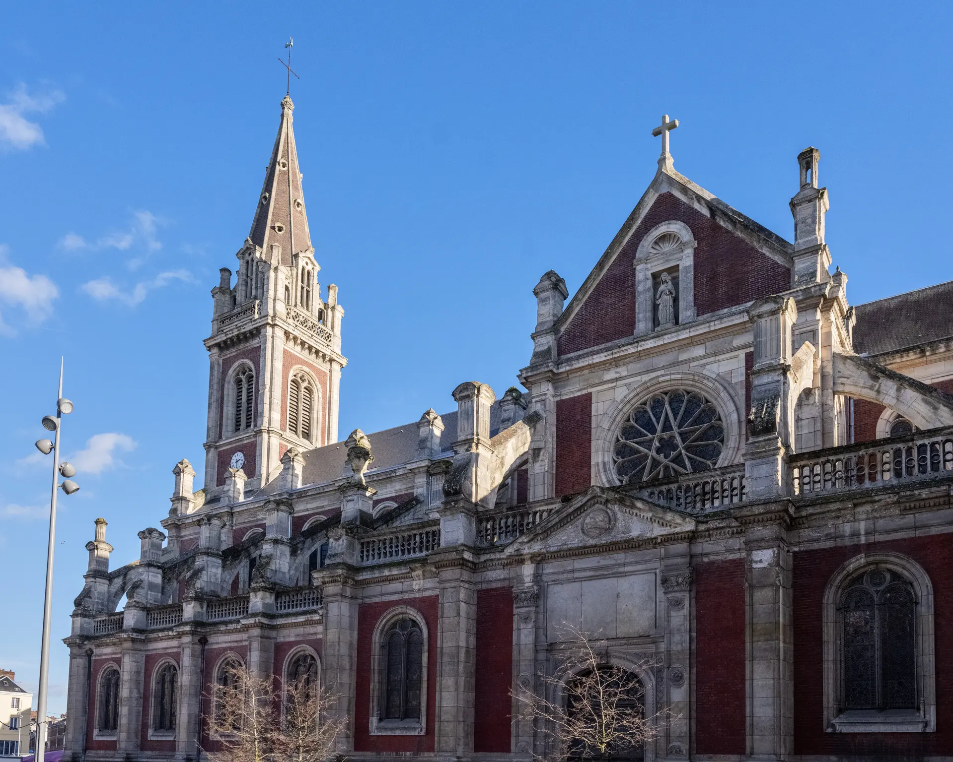 © Benoit Eliot-Octopus-8237© Benoit Eliot