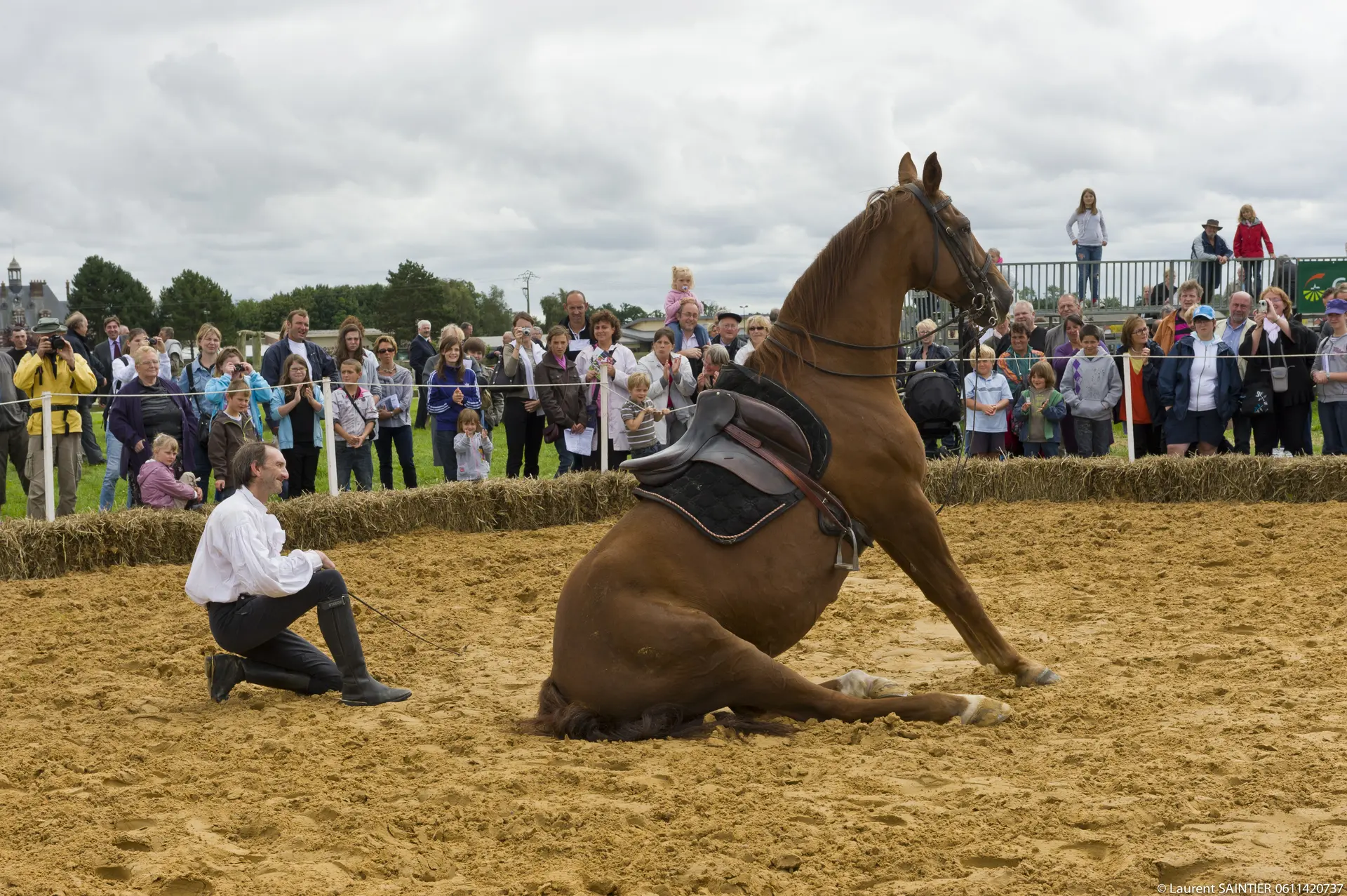 Fête du cheval [Cie Il était une fois l'histoire]