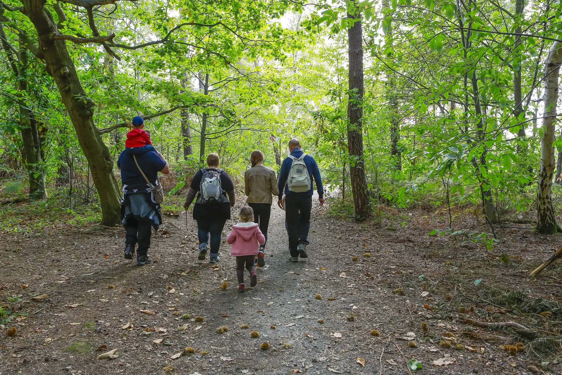 @foret_Exception (2)