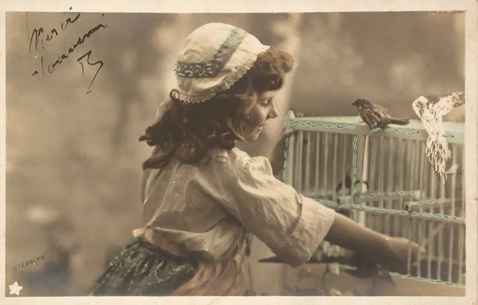 10_abri-oiseaux-1979.08864_001e