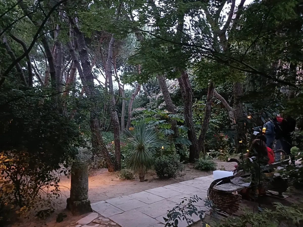 11 07 au 15 08 Nocturne Agapanthes