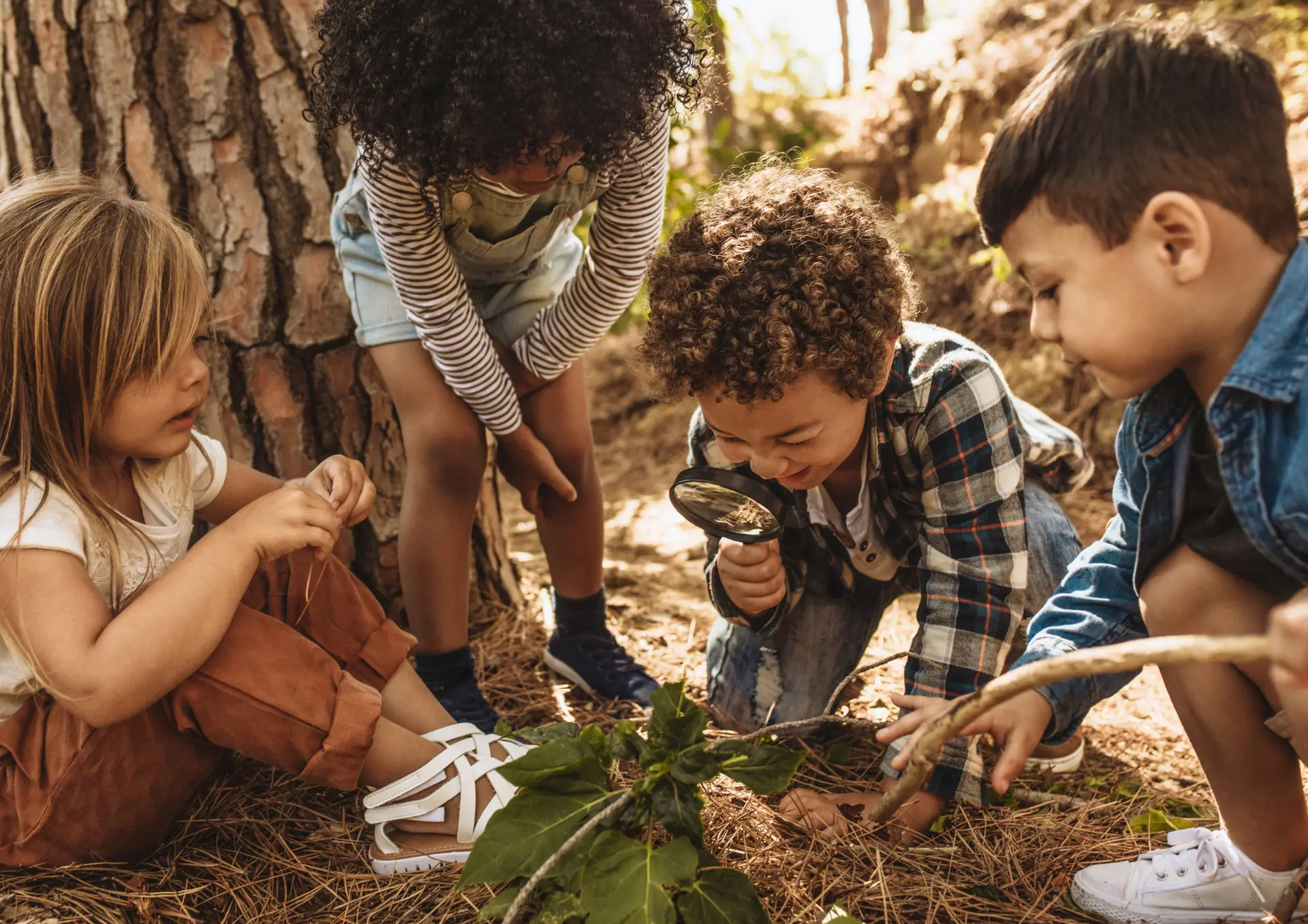 Animations ONF - 2026 - 15 avril 2026