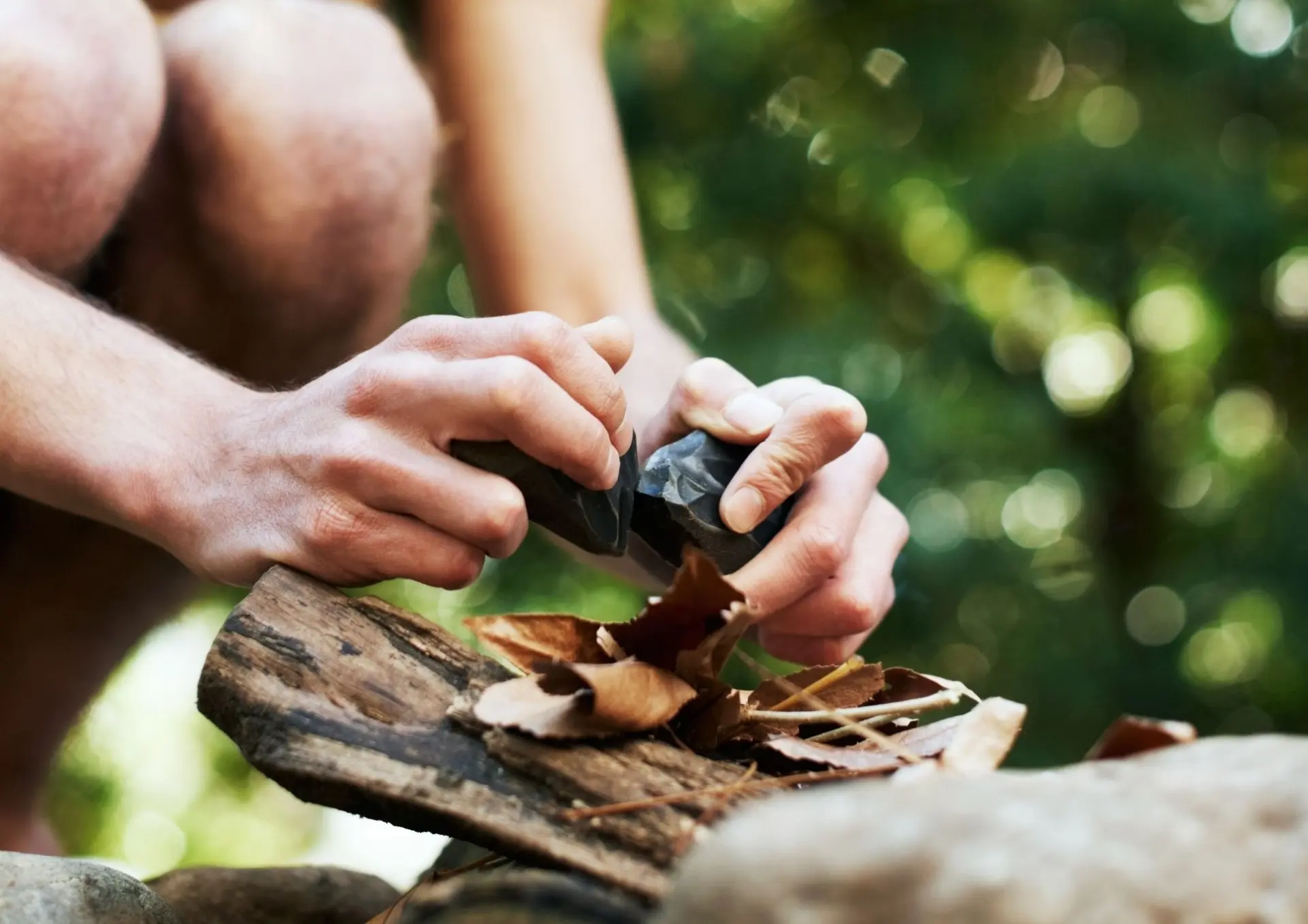 Animations ONF - 2026 - 2