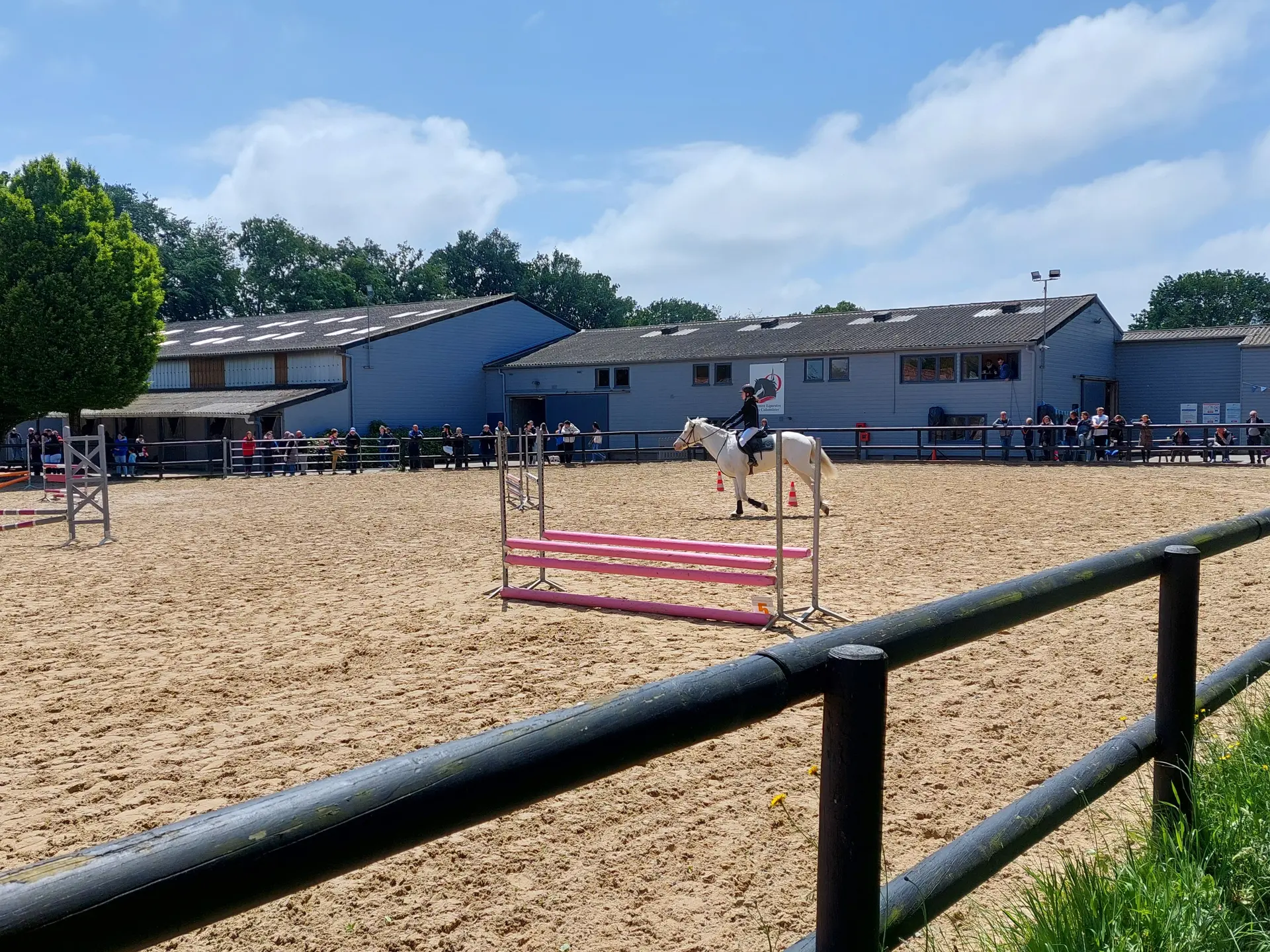 Concours de Saut d'Obstacles à Offranville