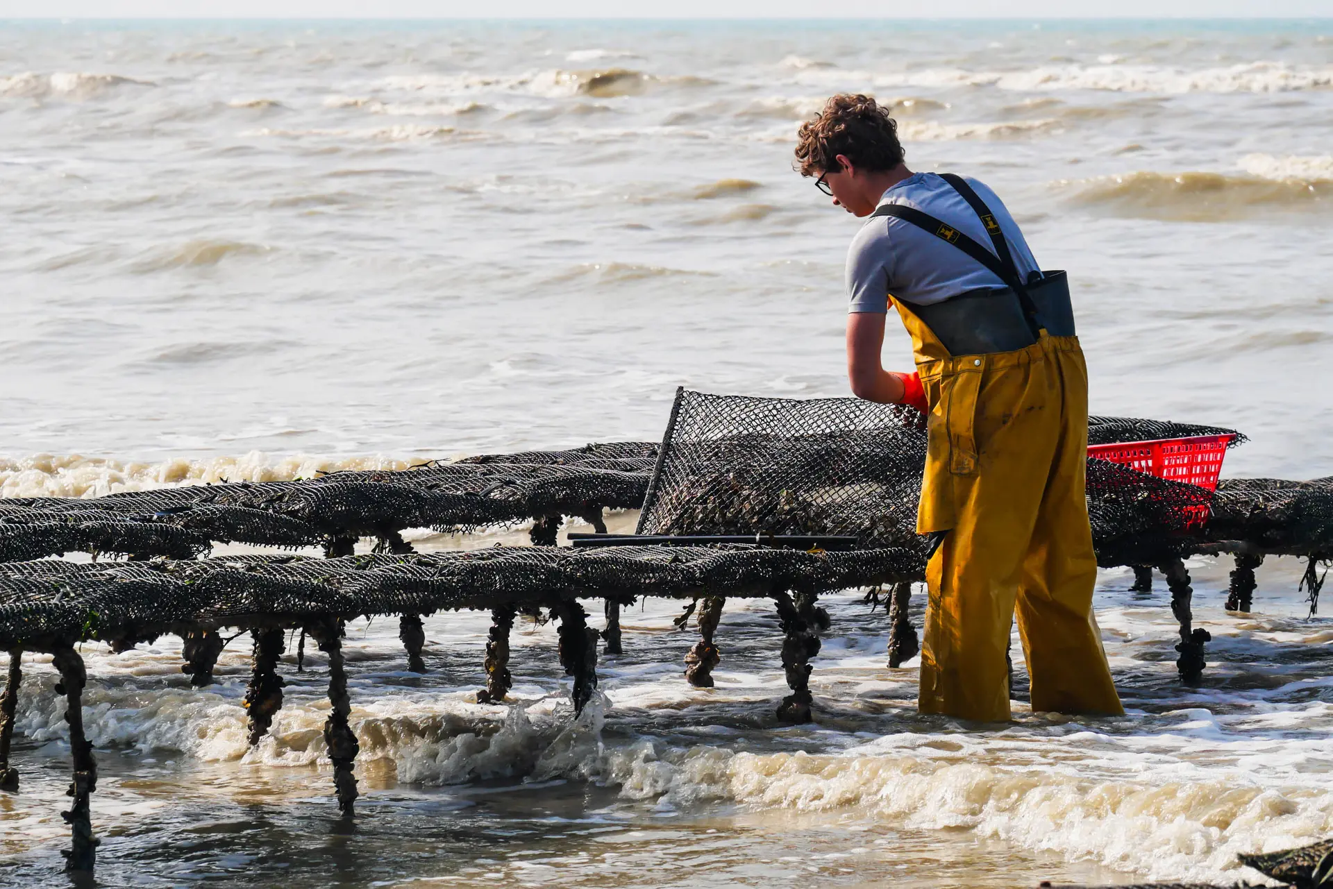 2025-04-26_VLR_Visite des parcs à huitres (146)