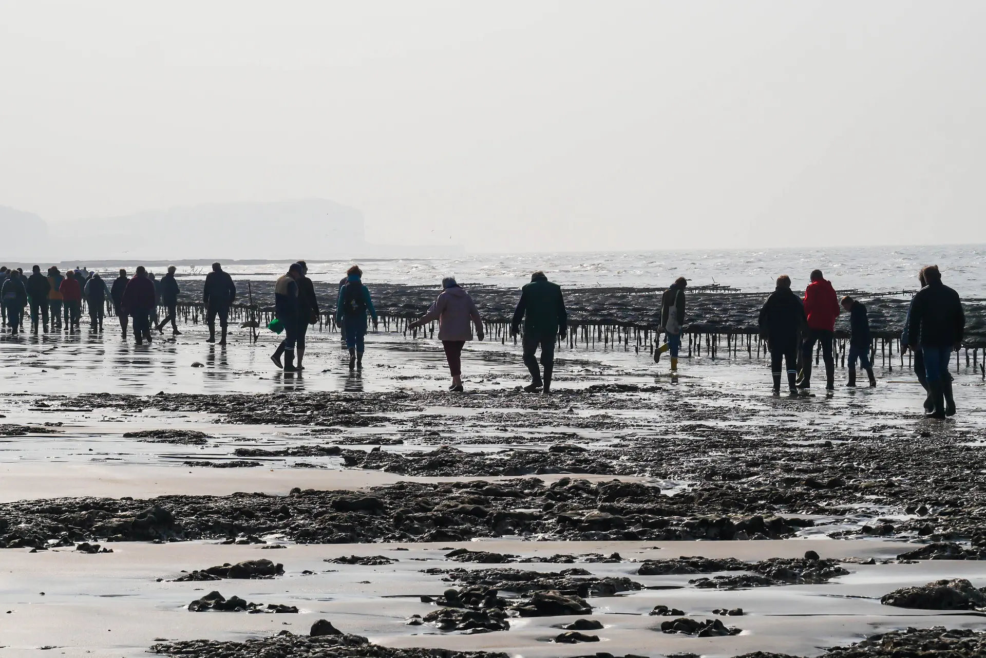 2025-04-26_VLR_Visite des parcs à huitres (197)