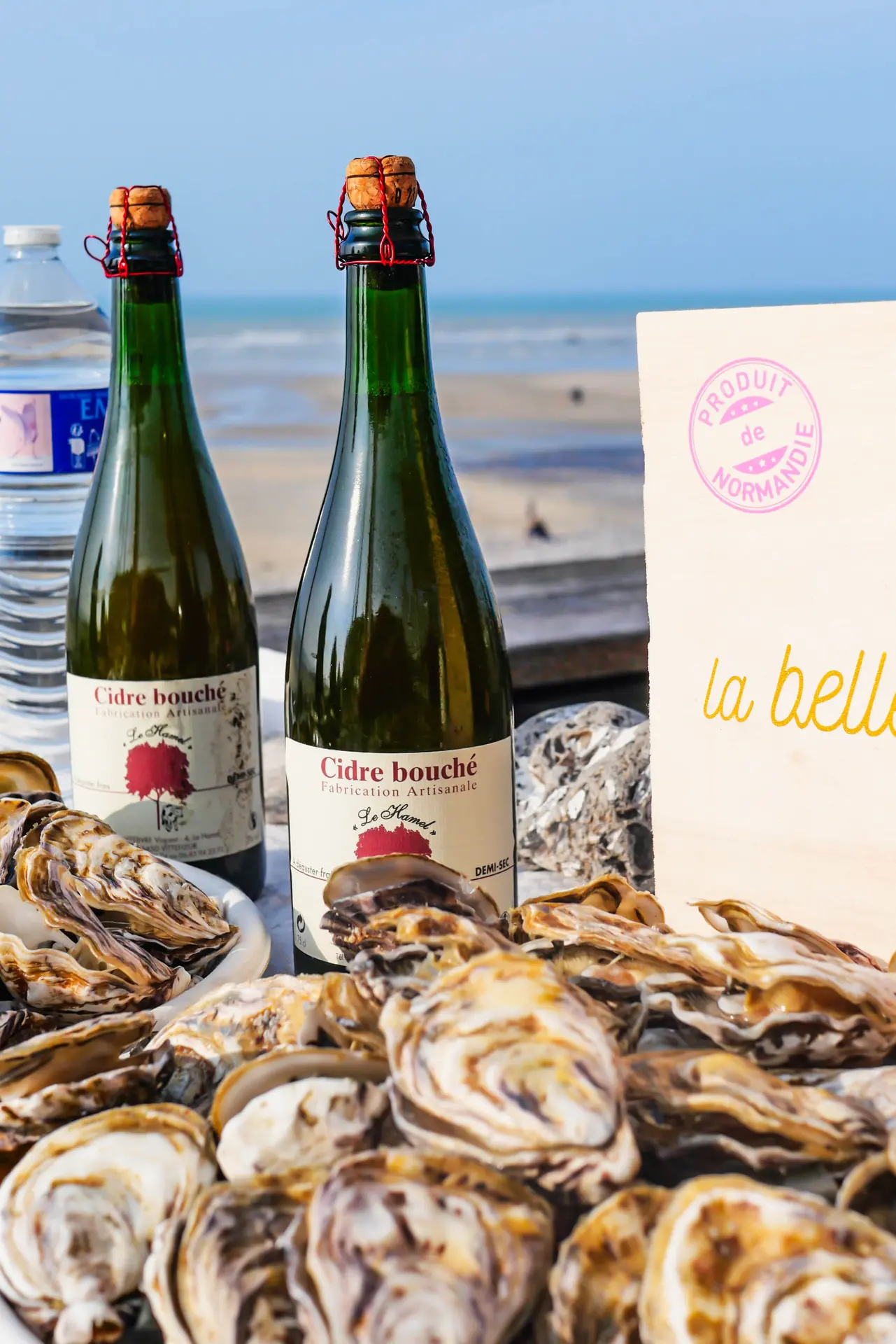 2025-04-26_VLR_Visite des parcs à huitres (252)