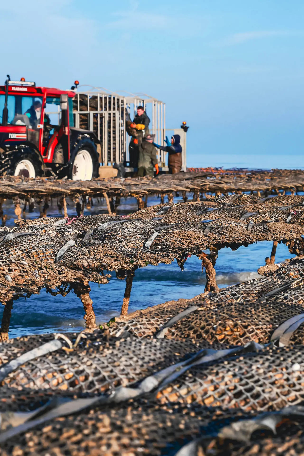 2025-03-03_VLR_Parc à huitres (94)