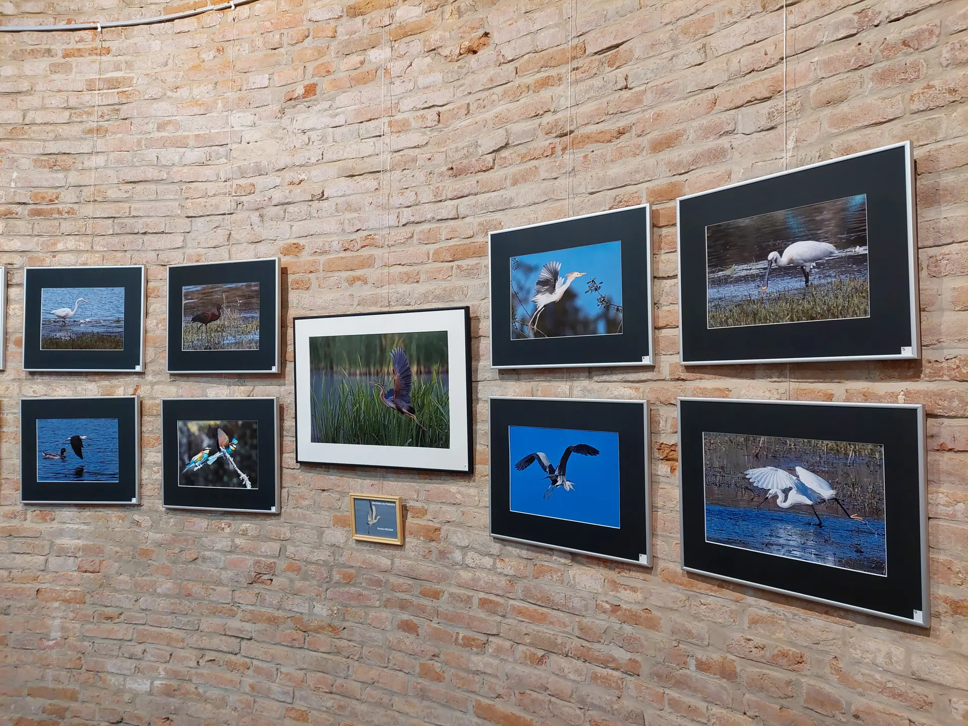 Photo Show du PCCO - Offranville