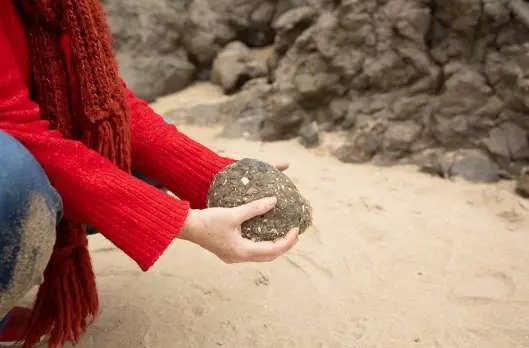 2026-02-19-projet artistique paluel