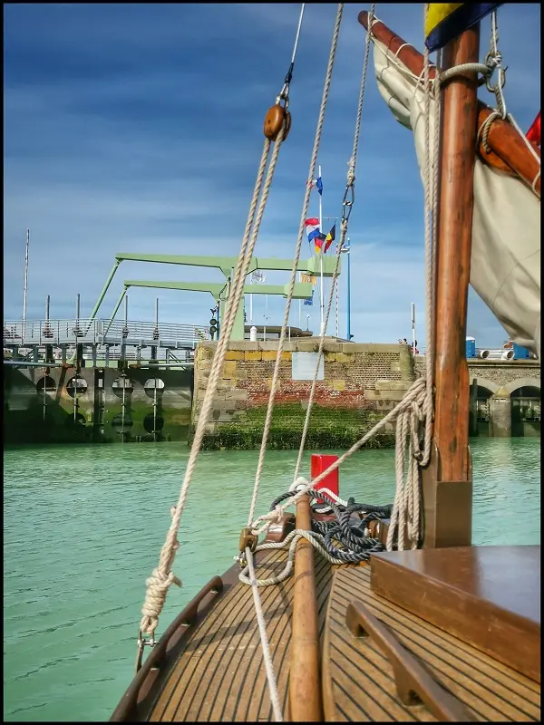 2022-06-Balades port plaisance Courlis redim