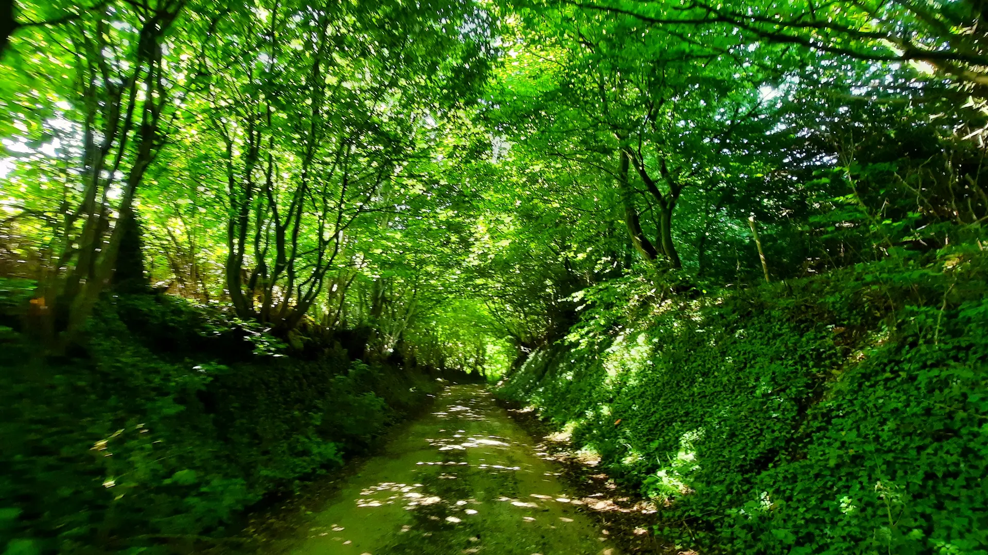 Chemins Thil-Manneville