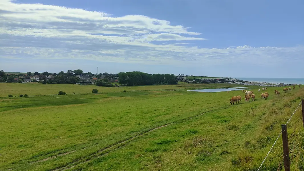 2023_BOUCLE 10_SAINT AUBIN SUR MER©CCCA (35) - Copie