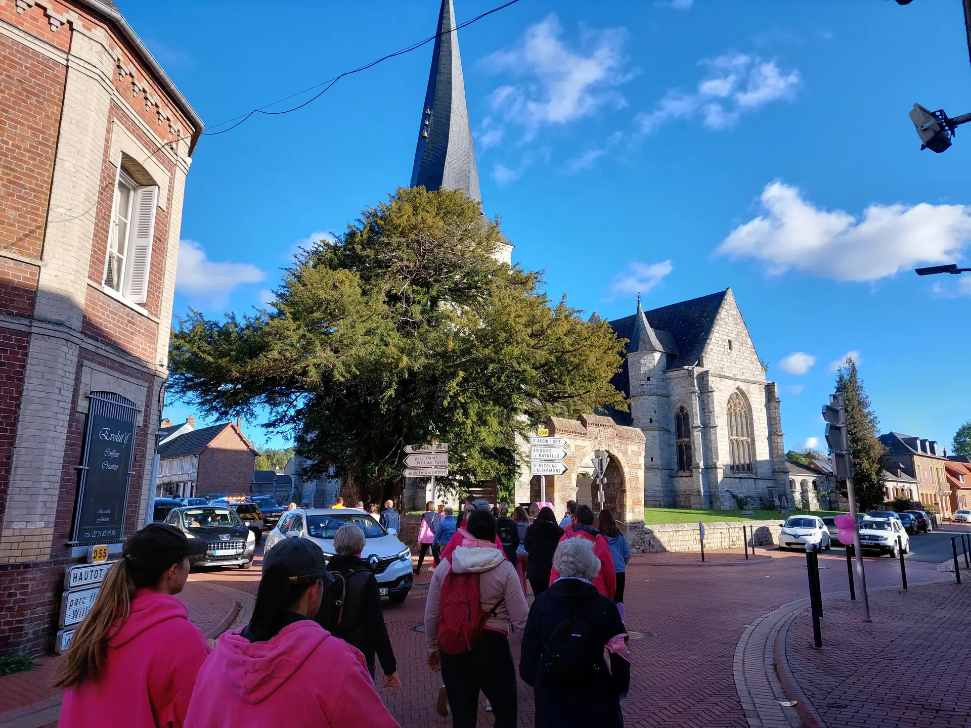 Marche Rose à Offranville