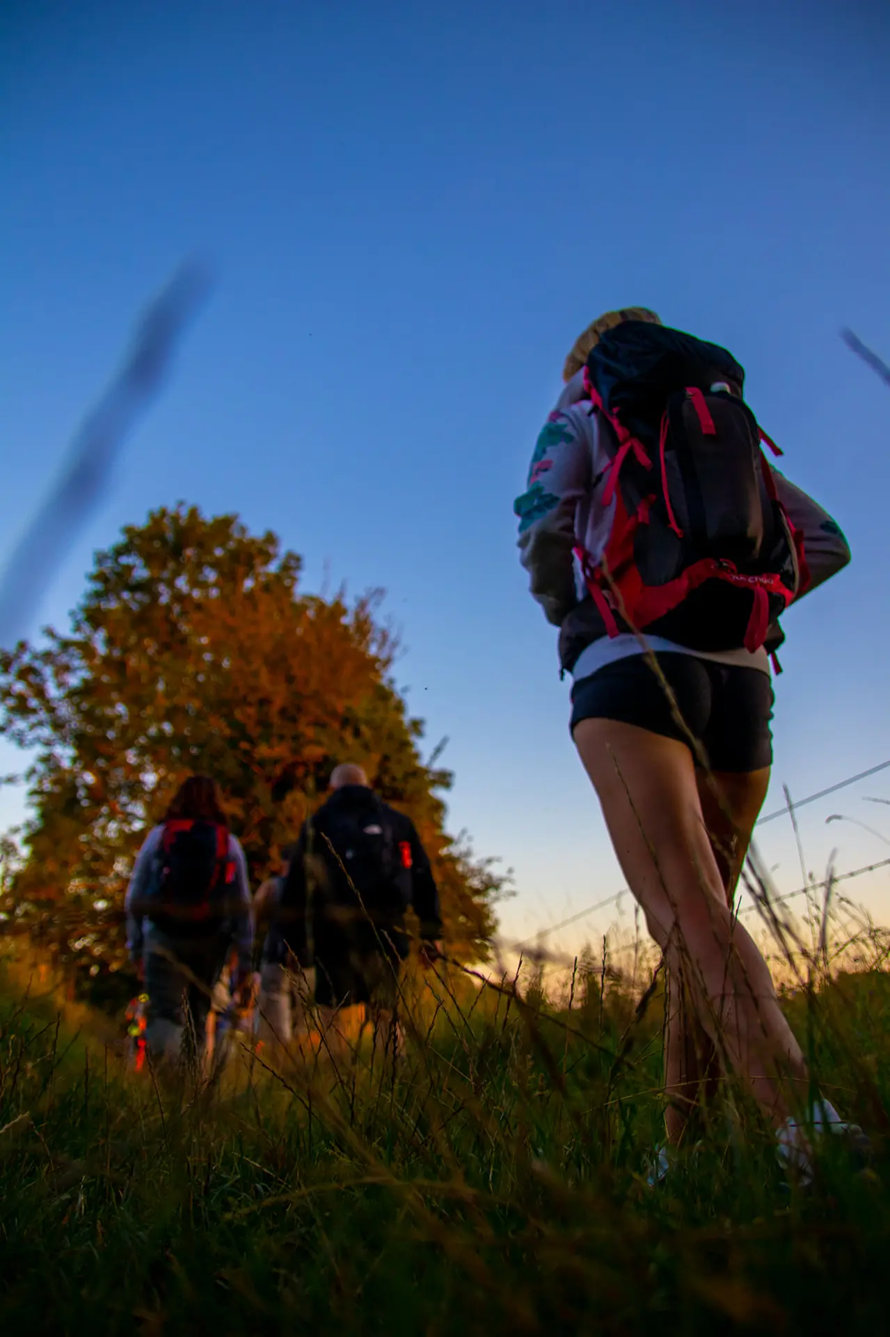 Randonnée nocturne  OT TERROIR DE CAUX  B DELPORTE