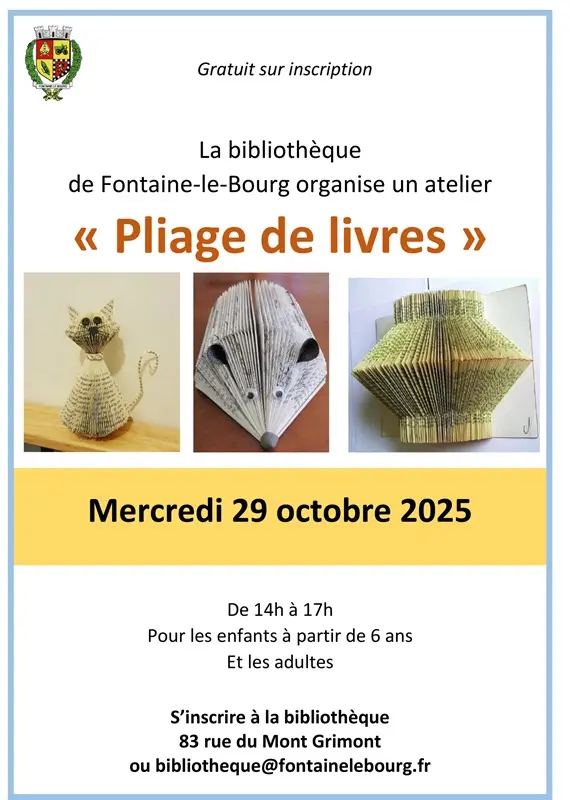29 10 bibliothèque fontaine le bourg