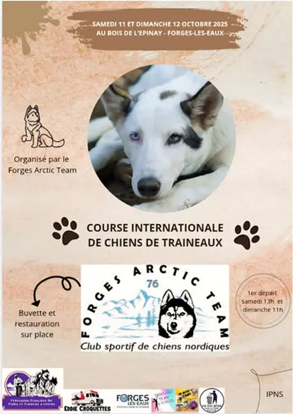3491_060_chien