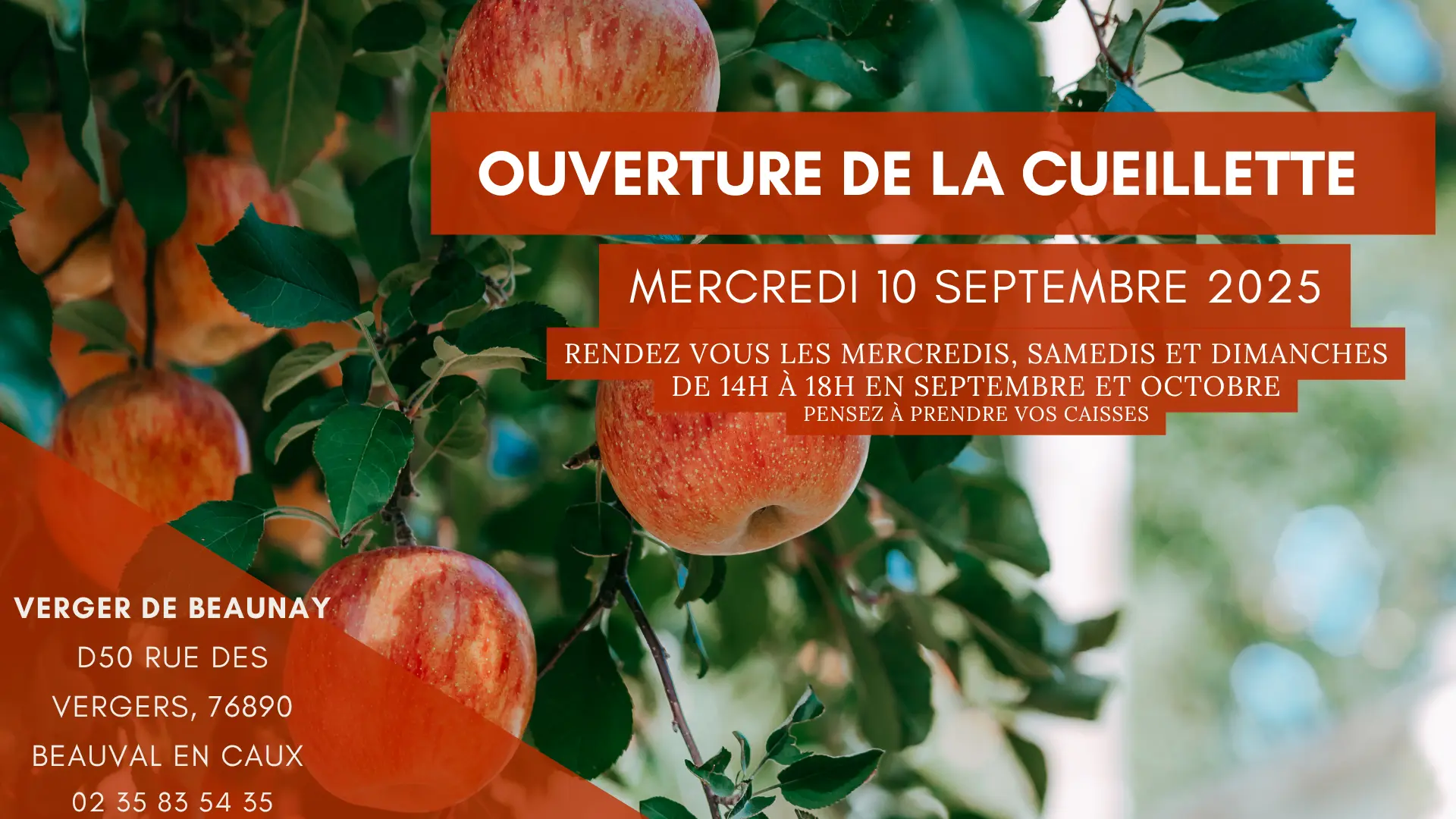 thumbnail_Flyer Image Cueillette