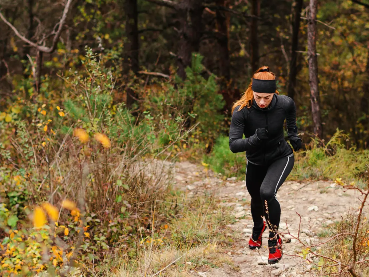 trail-foret-photo-generique-freepik