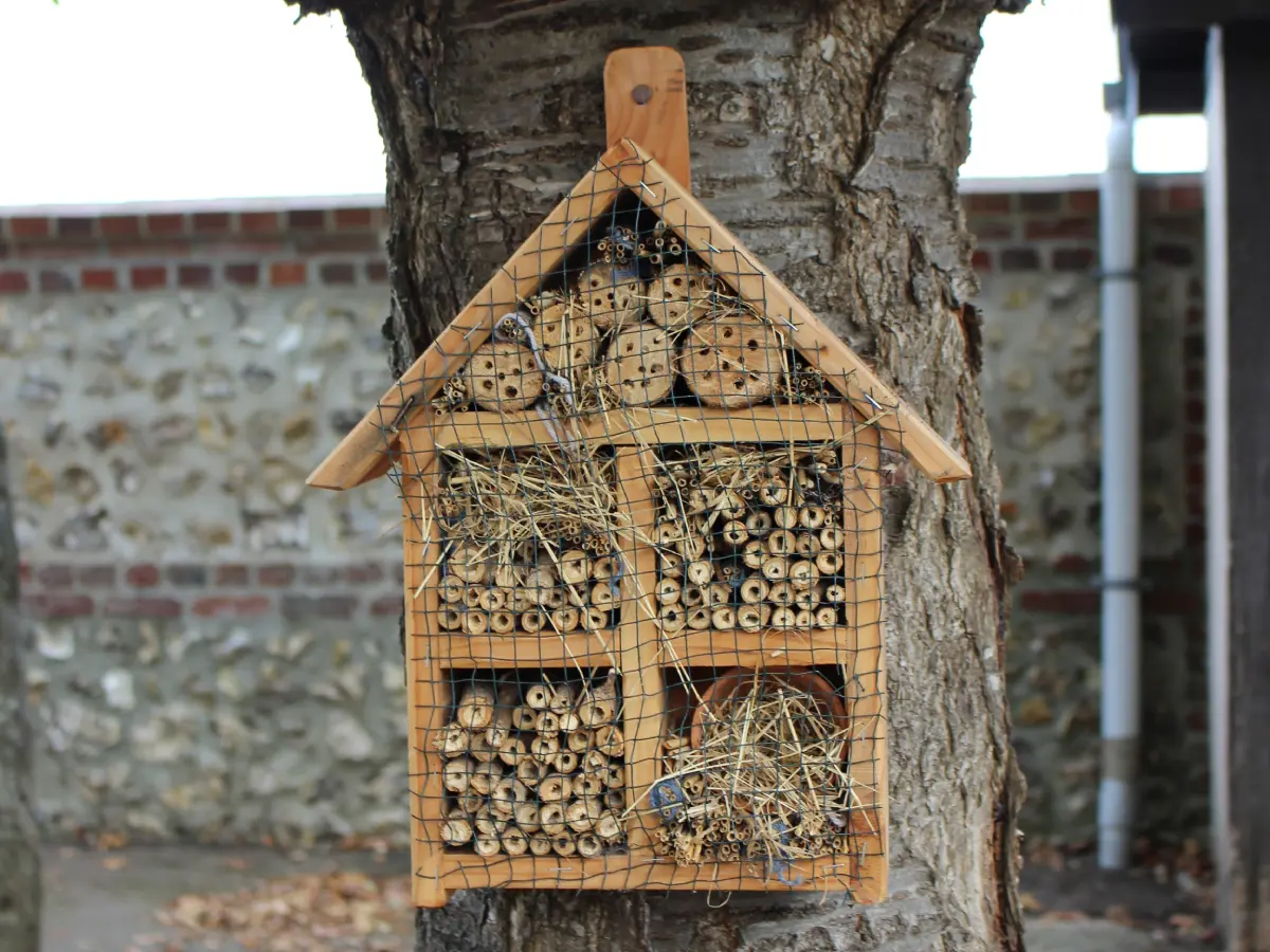 un-hotel-pour-les-insectes-pnr-louvetot (1)